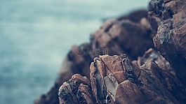 生活,美,現(xiàn)場(chǎng)