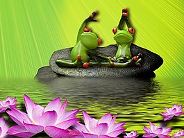 湖,水,體育