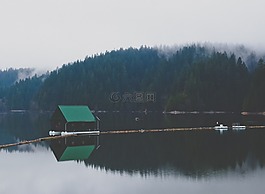 野生,太平洋,西北