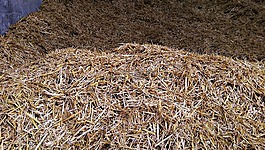 干草,農(nóng)場(chǎng),床上用品
