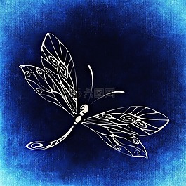 蜻蜓,昆蟲,翼