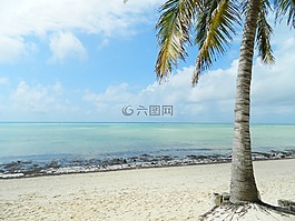 熱,假日,夏季
