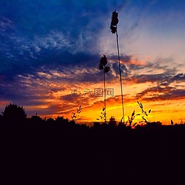 日落,橙色的天空,中藥
