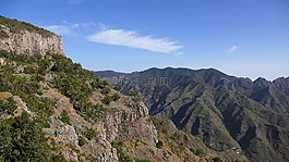 la 爬行動物,加那利島,島