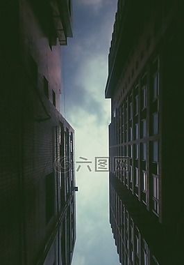 透視,作文,結(jié)構(gòu)