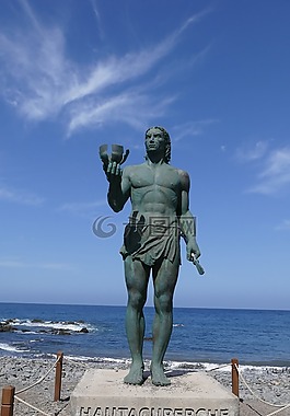 la 爬行動物,加那利島,島