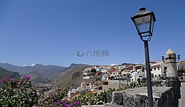 la 爬行動物,加那利島,島