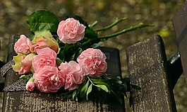 花束,鮮花,丁香