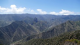 la 爬行動物,加那利島,島