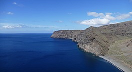 la 爬行動物,加那利島,島