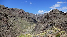 la 爬行動物,加那利島,島