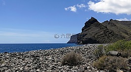 la 爬行動物,加那利島,島