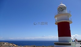 la 爬行動物,加那利島,島