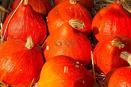 南瓜,秋季,萬圣節(jié)