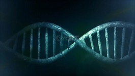 微生物學,dna,人