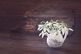 斯諾德羅普,花,春天的花