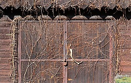 斯洛伐克,門(mén),老