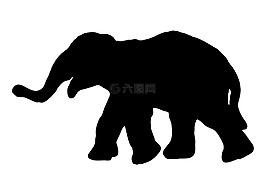 象,嬰兒,可愛