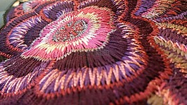 刺繡,羅莎,電線