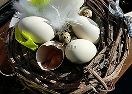地圖,復(fù)活節(jié)彩蛋,復(fù)活節(jié)兔子