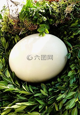 地圖,復(fù)活節(jié)彩蛋,復(fù)活節(jié)兔子