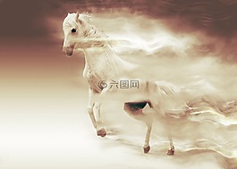 馬雷,動(dòng)物,自然