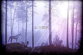 獨(dú)角獸,童話故事,神秘生物