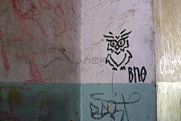 貓頭鷹,鳥(niǎo),鳥(niǎo)類