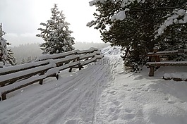 雪,徑,冬天