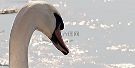 水域,冬天,性質(zhì)