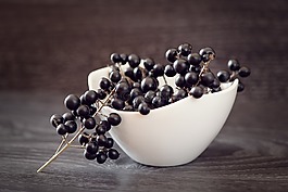 女贞,浆果,深蓝色