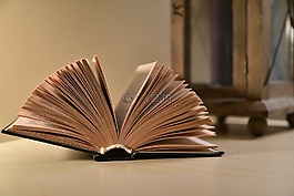 本書,讀取,圖書