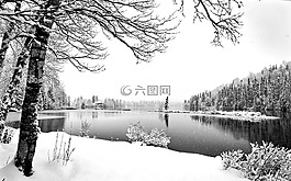 冬天風(fēng)景,冬天,雪景