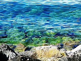 博登湖,水面,波