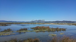 加利西亞,海灘,藍(lán)色