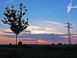 天空,西,樹