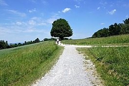 zollikon,景觀,性質(zhì)