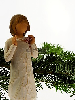 杉木,針葉樹(shù),天使