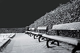 雪,霜,季節(jié)