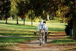 體育,越野行走,公園