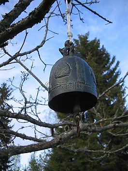 手表,樹(shù),天空藍(lán)