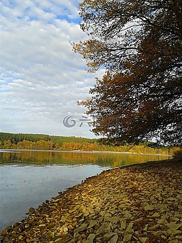 möhnesee的,水库,秋季
