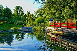 橋,自然,湖
