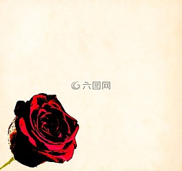 花,背景,釀酒