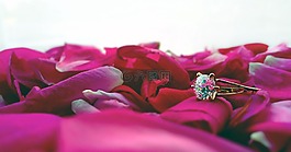 环,婚礼,光