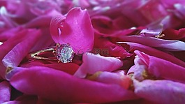 环,婚礼,光