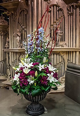 束鲜花,posy,鲜花