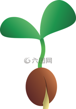 幼苗,種子,增長