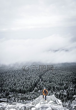 山,雪,冬天