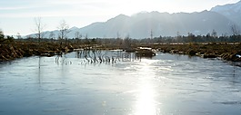 陽光,景觀,湖